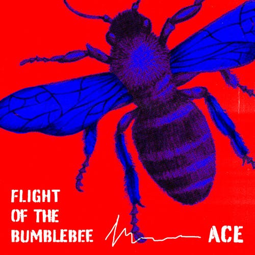 Flight of the Bumblebee album cover