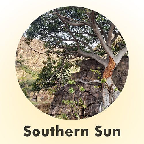Southern Sun album cover