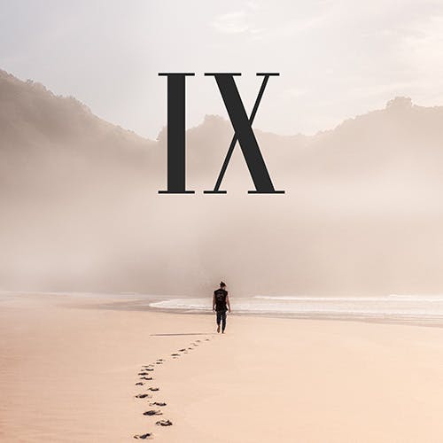 IX album cover