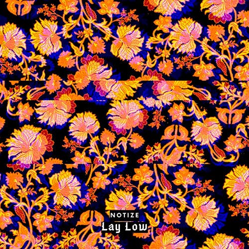 Lay Low album cover