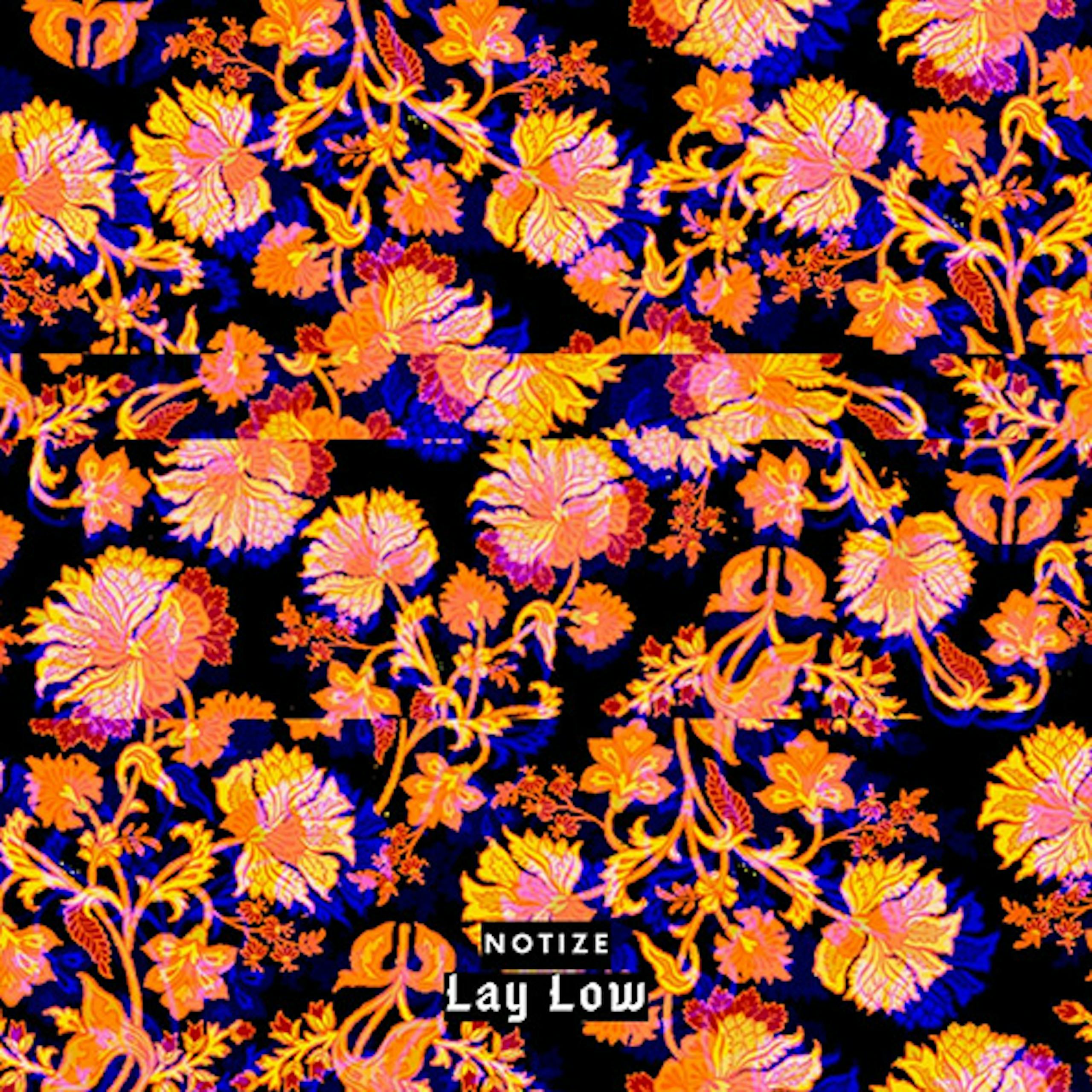 Lay Low by Notize | SFX - Artlist