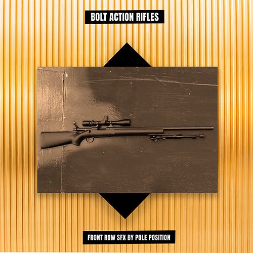 Bolt Action Rifles