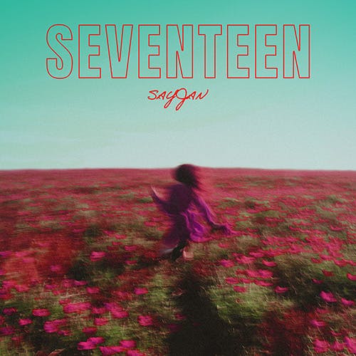 SEVENTEEN album cover