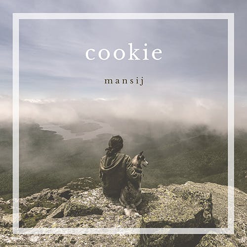 Cookie album cover
