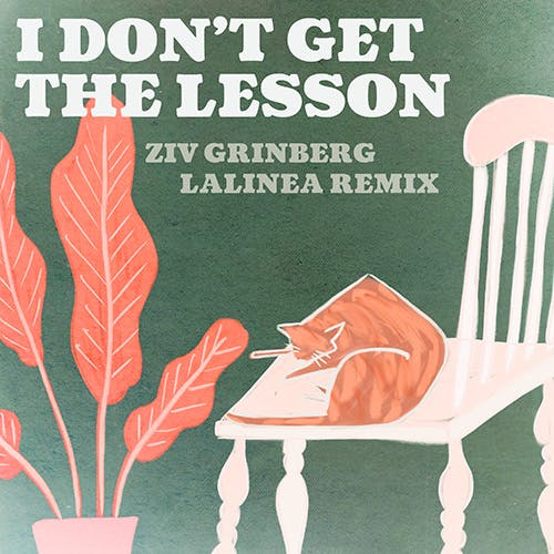 I Don't Get the Lesson - Lalinea Remix album cover