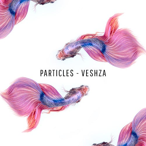 Particles album cover