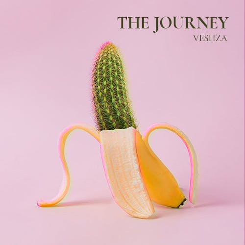 The Journey album cover