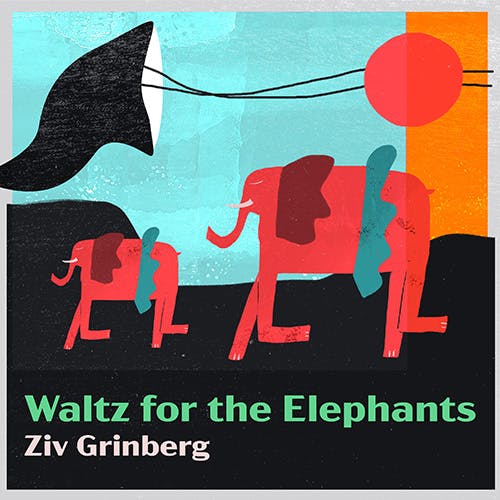 Waltz for the Elephants album cover