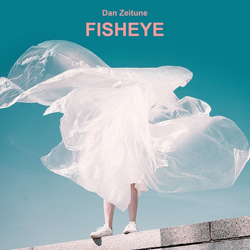 Fisheye album cover