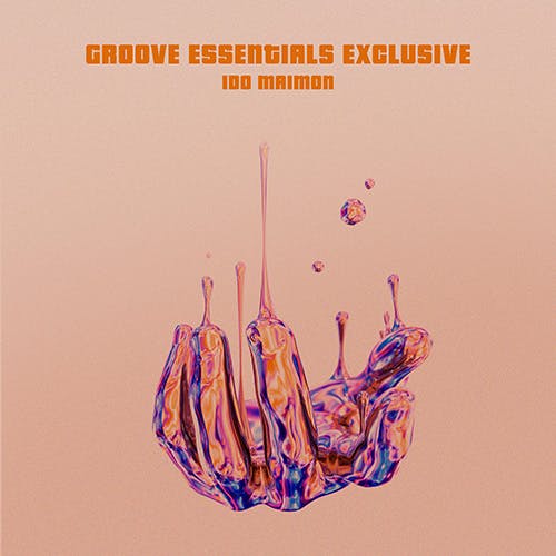 Groove Essentials Exclusive album cover