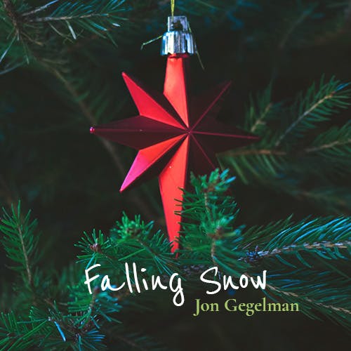 Falling Snow album cover