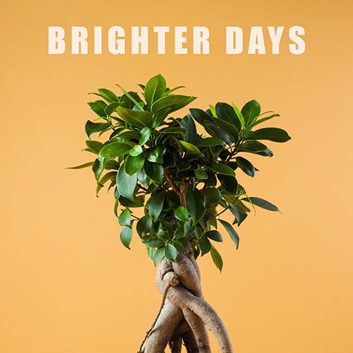 Brighter Days album cover