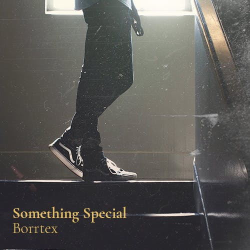 Something Special album cover