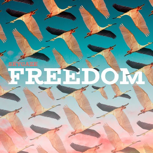 Freedom album cover