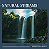 Natural Streams album cover