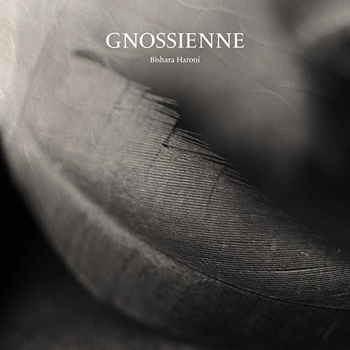 Gnossienne album cover