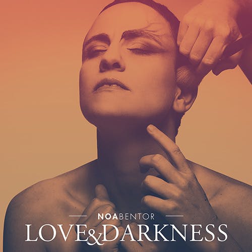 Love and Darkness album cover