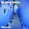 Bustling Towns album cover