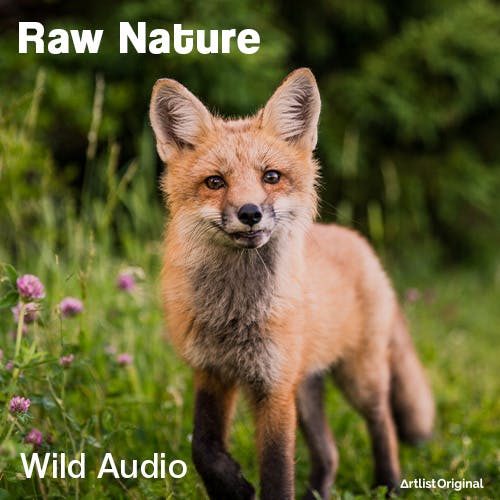 Raw Nature