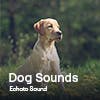 Dog Sounds album cover