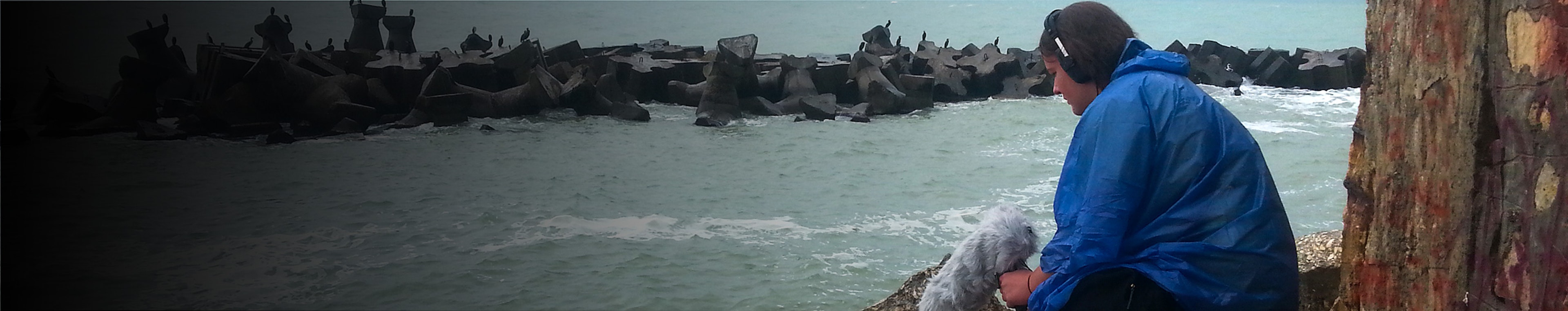 Abandoned Doors Vol 1 - Doorknob, Wiggle and Shake by Skyes Audio