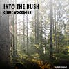 Into the Bush album cover