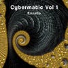 Cybermatic Vol 1 album cover