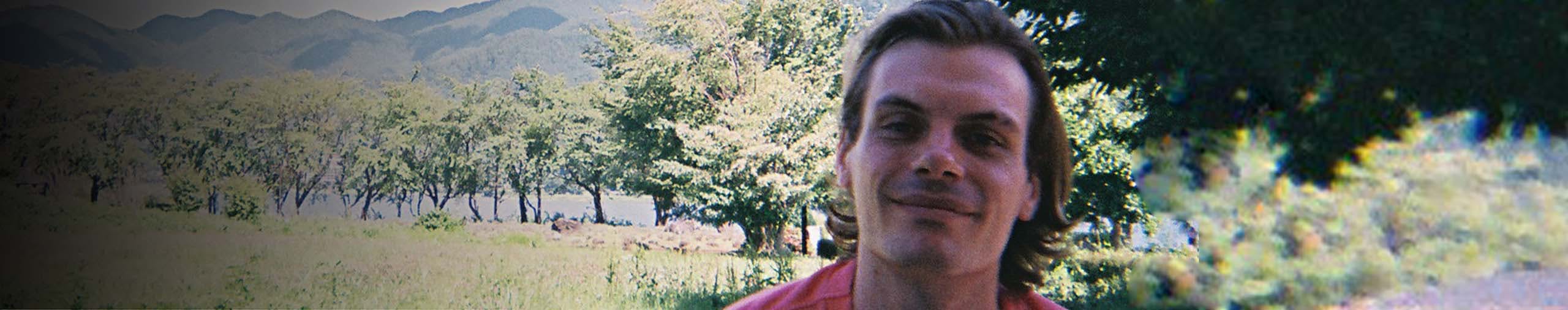 Nature of Japan Windy Forest, Trees Moving and Rustling Royalty