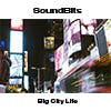 Big City Life album cover