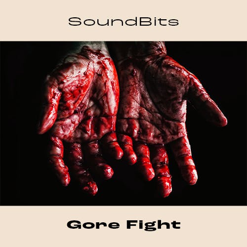 Gore Fight album cover