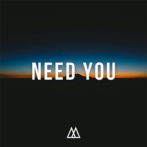 Need You album cover