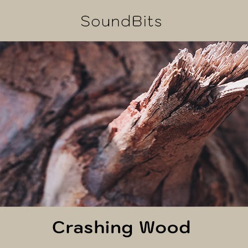 Crashing Wood album cover