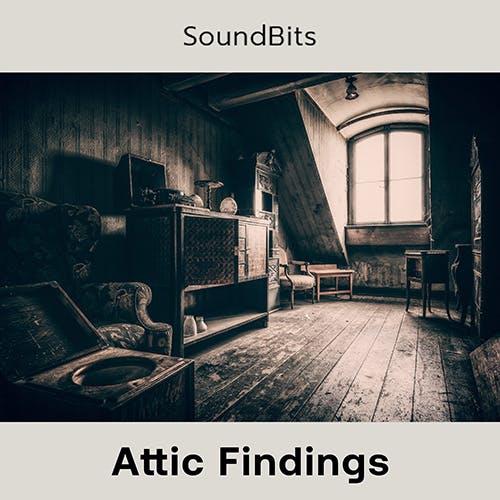Attic Findings  album cover