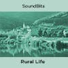 Rural Life album cover