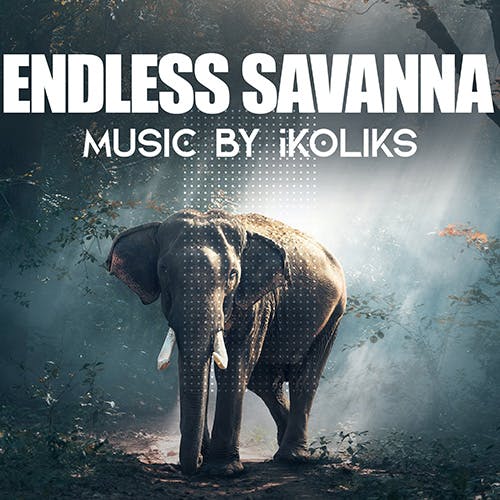 Endless Savanna album cover