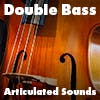 Double Bass album cover