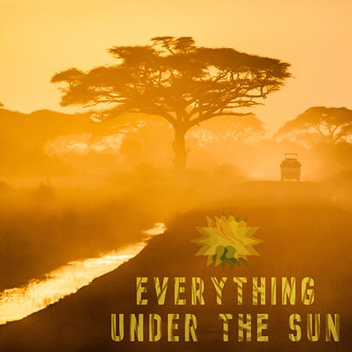 Everything Under the Sun album cover