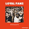 Loyal Fans album cover