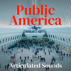 Public America album cover