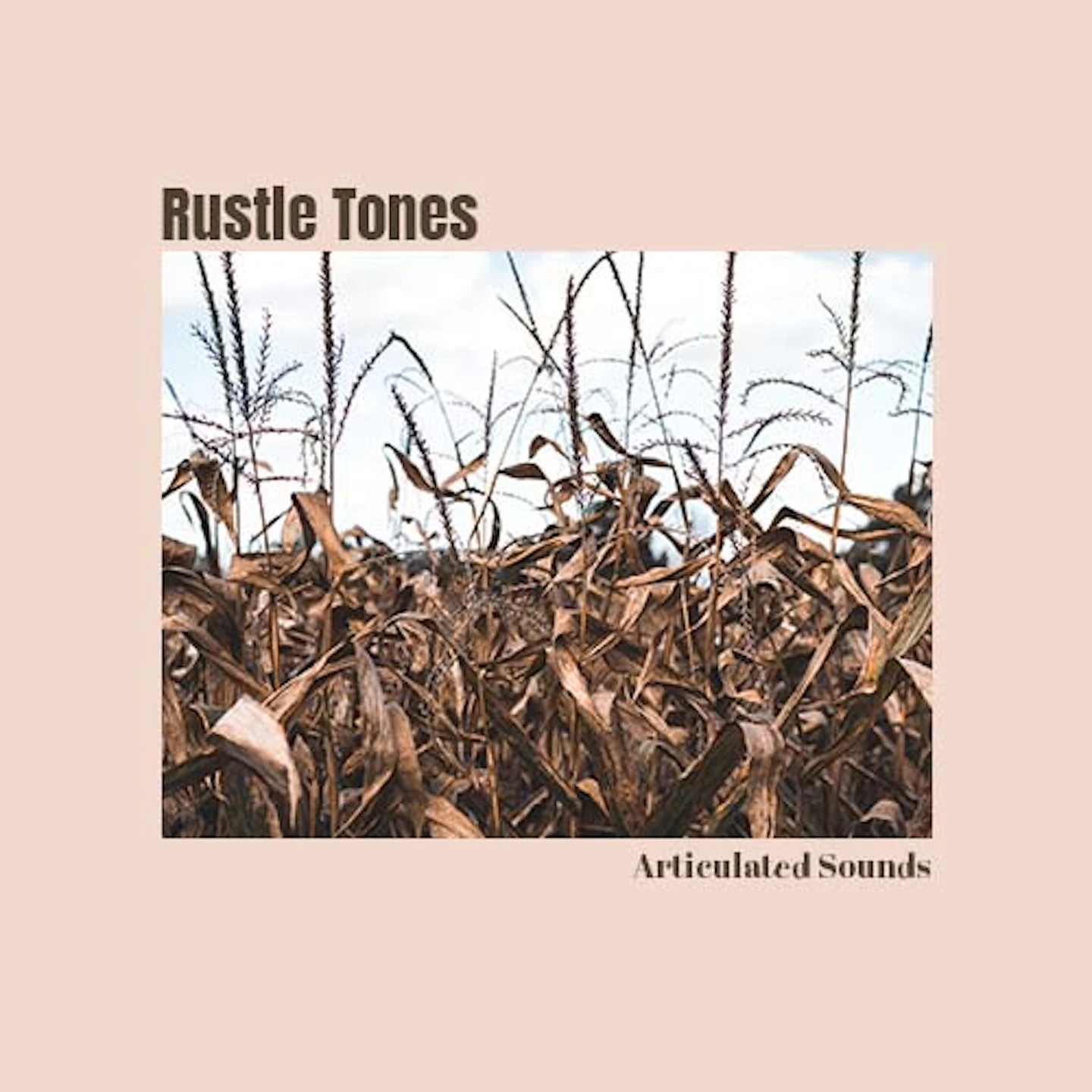Articulated Sounds - Sound Effects & Albums | Artlist