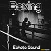 Boxing album cover