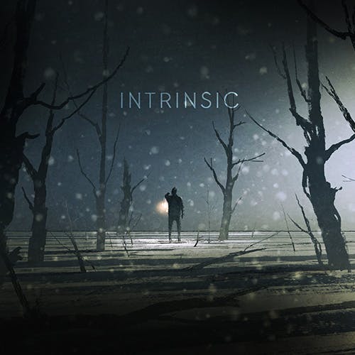 Intrinsic album cover