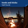 Seeds and Sticks album cover