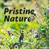 Pristine Nature album cover