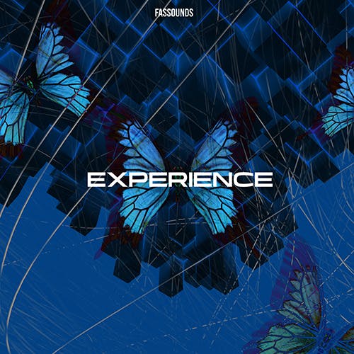 Experience album cover