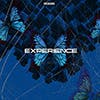 Experience album cover
