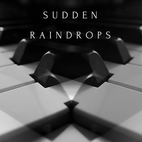 Sudden Raindrops album cover