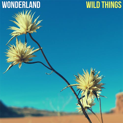 Wild Things album cover