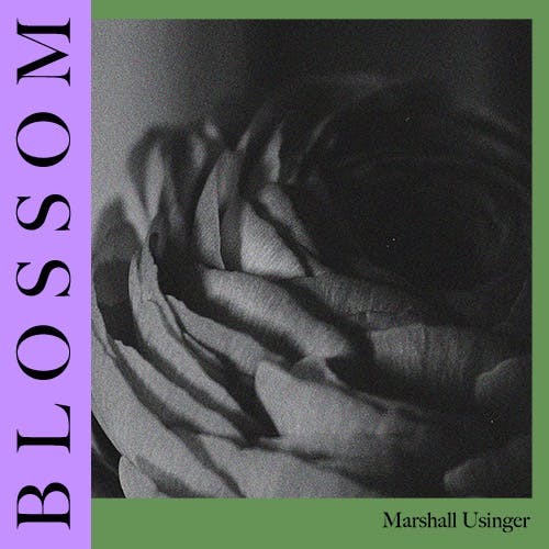 Blossom album cover
