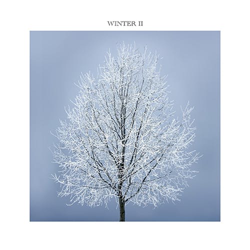 Winter II album cover